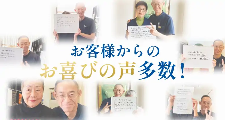 当院の実績